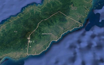 Southern Palawan town to sue Ipilan mining over 'illegal' operations